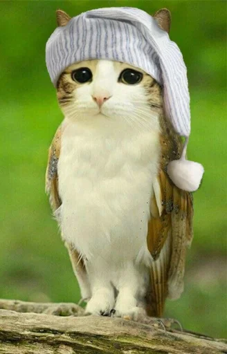 텔레그램 스티커