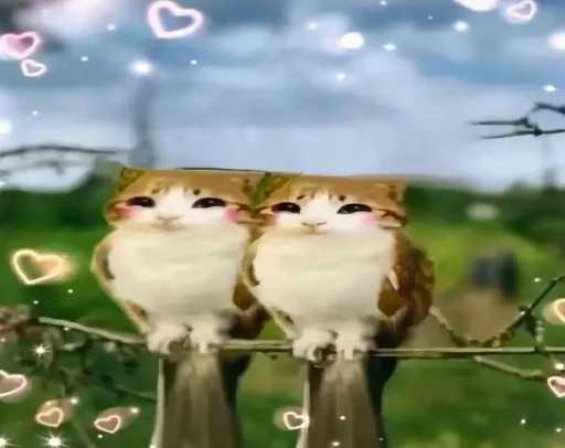 텔레그램 스티커