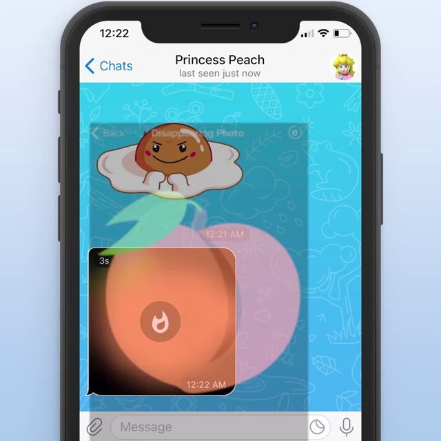 Ephemeral Media Security 열람 즉시 자동 파기!텔레그램 사라지는 미디어 전송법 회사 PC에서도, 소중한 개인정보 공유 시에도