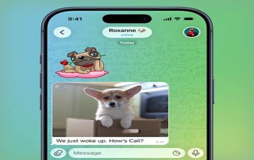 라이브 포토 및 모션 포토 (Live and Motion Photos)